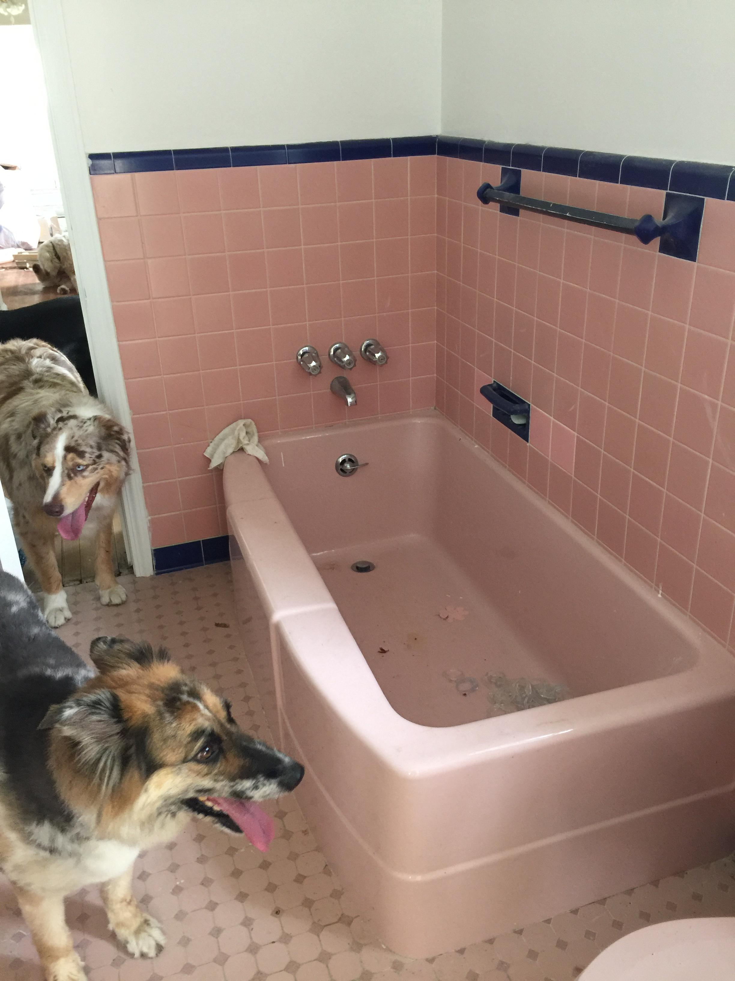 bathtub fitting over old bathtub