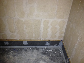 What's causing this growth in my bathroom? - Ceramic Tile Advice Forums -  John Bridge Ceramic Tile