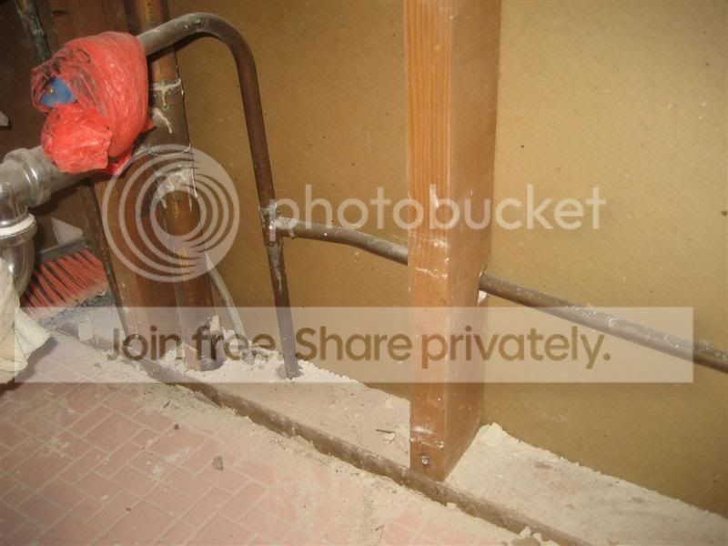 IMG_3448Medium.jpg
