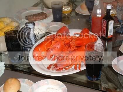 redbugs.jpg