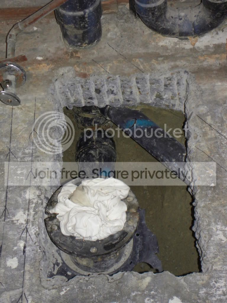 SDC10919.jpg