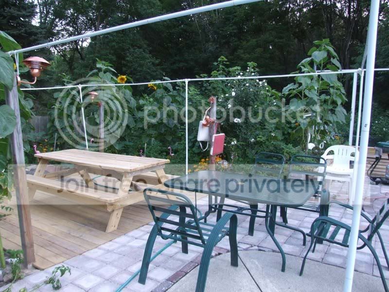 GardenPatioset08.jpg