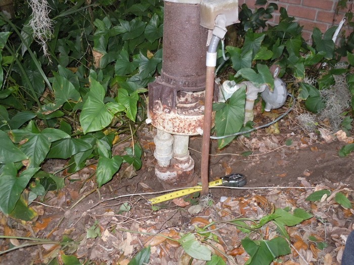 i-W4S4C8j-X3.jpg