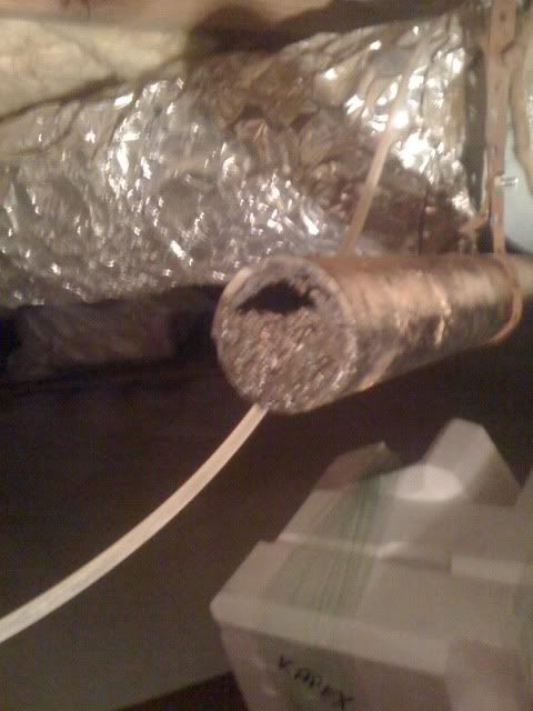 plumb_leak_4.jpg