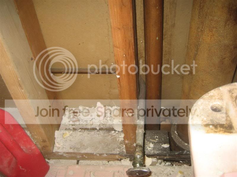 IMG_3445Medium.jpg