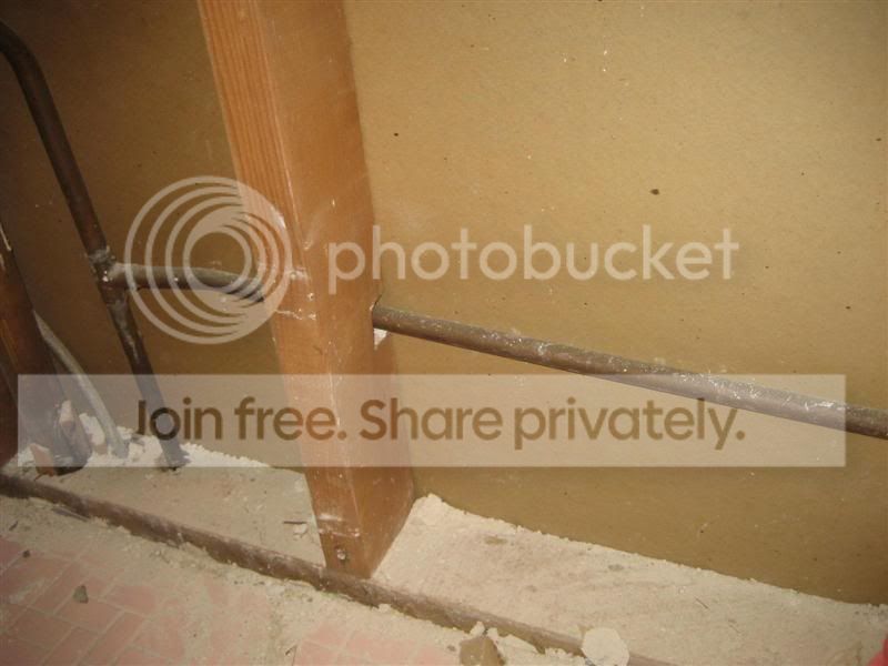 IMG_3447Medium.jpg