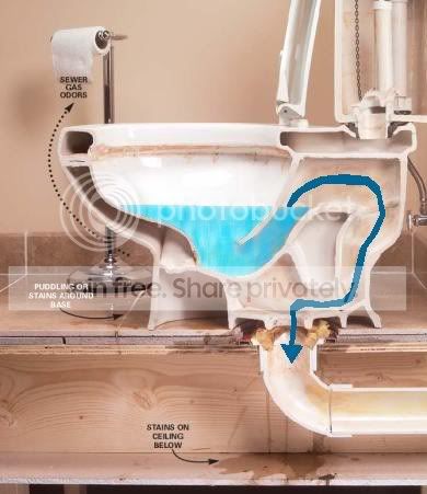 toiletcrosssection.jpg