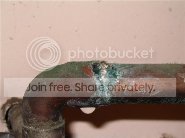 IMG_0030Small.jpg