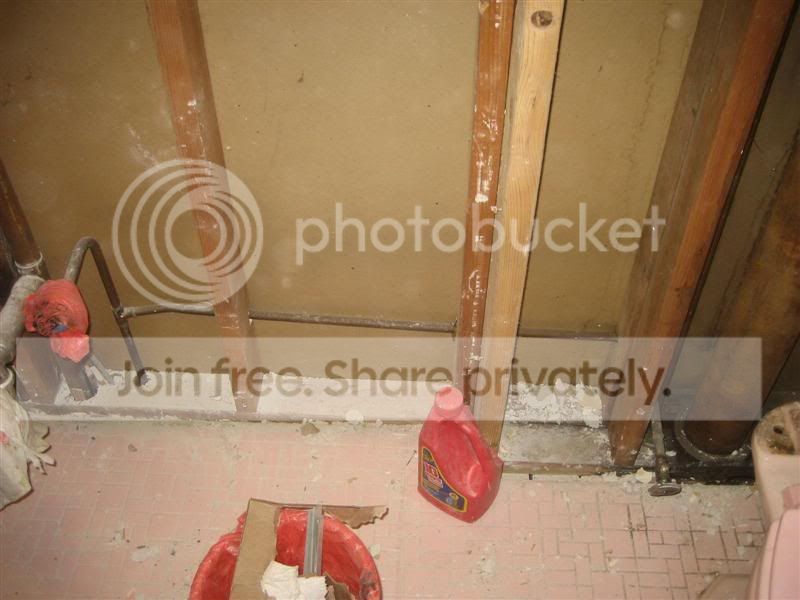 IMG_3446Medium.jpg