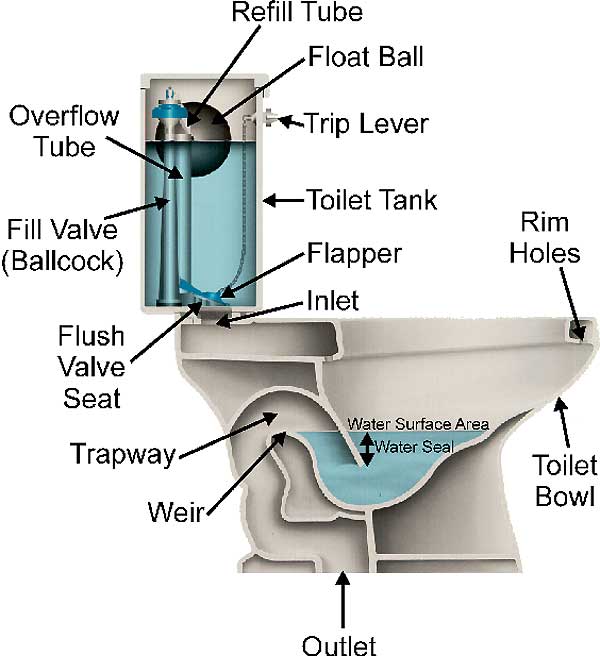 toilet%20diagram.jpg