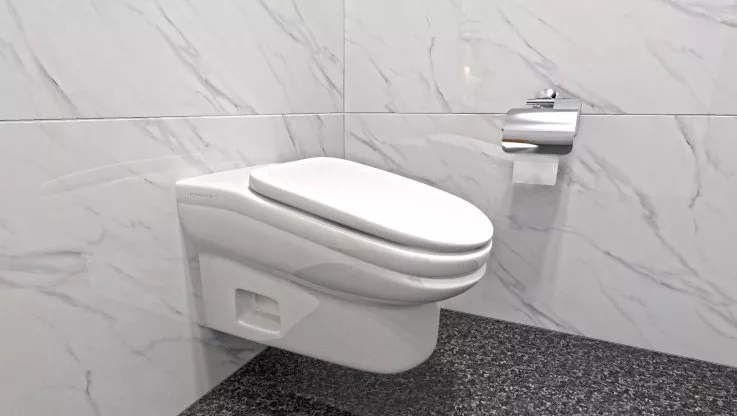 standard-toilet-slanted-toilet.webp