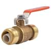 sharkbite-ball-valves-22185-0000lf-64_100.jpg