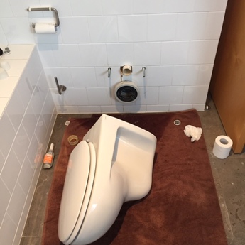 caroma-wall-hung-toilet-pan.jpg