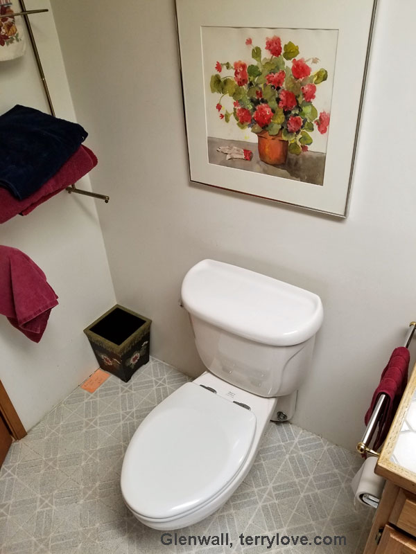 Wall Mounted Toilet To Save Your Washroom From Leaking Problems Toiletable