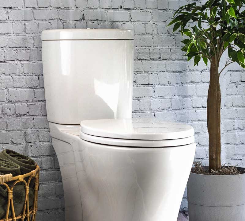 Everything You Need To Know About Back Outlet Toilets I Sustainable  Solutions