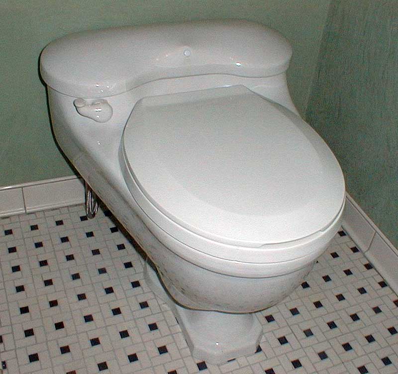 Case_TN_toilet.jpg