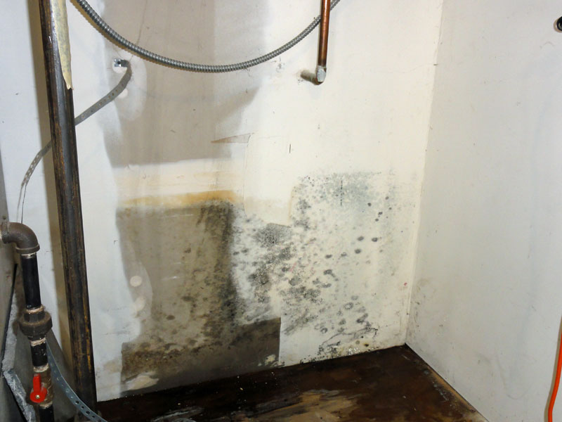 Mystery pipe leak in ceiling Terry Love Plumbing Advice & Remodel DIY & Professional Forum