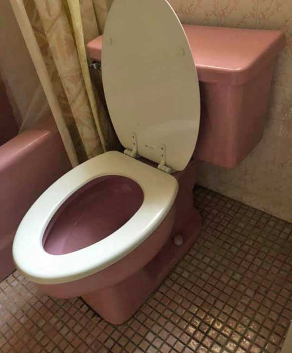 Kohler Lady Vanity Sink K2170 / Faucet, Rookie question Terry Love