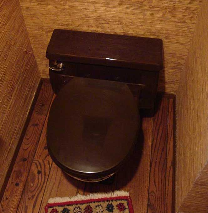 brown toilet
