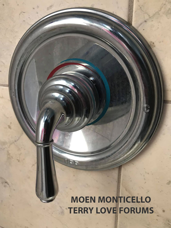 moen-monticello-shower-tango.jpg
