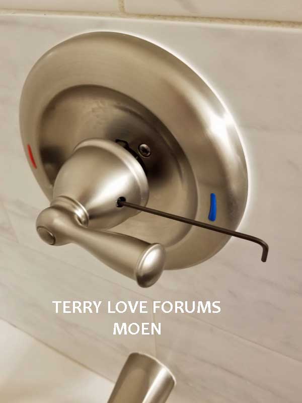 moen-tub-shower-terrylove-02.jpg