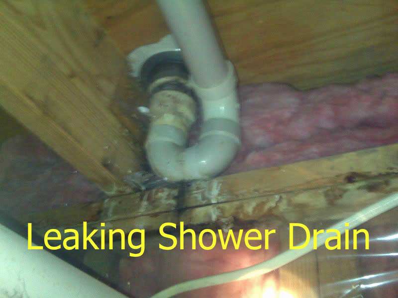 dunbar_leaking_shower_drain.jpg