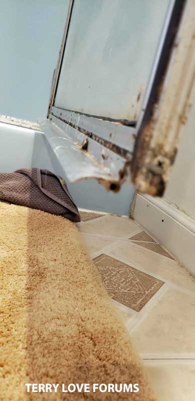 shower-strip-pic.jpg