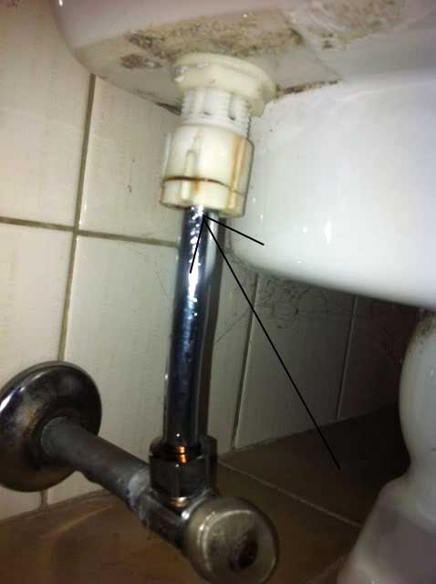 stevetoilet.jpg