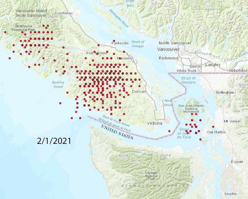 tremor-map-2021-02-01.jpg