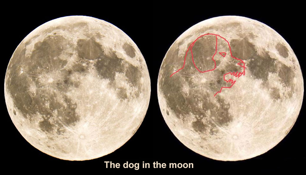 dog-in-the-moon.jpg
