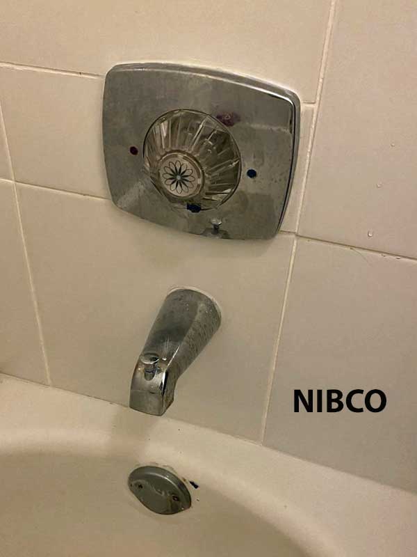 nibco-shower-05.jpg