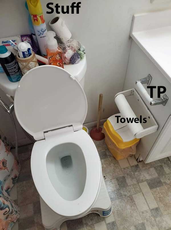 things-in-toilets.jpg