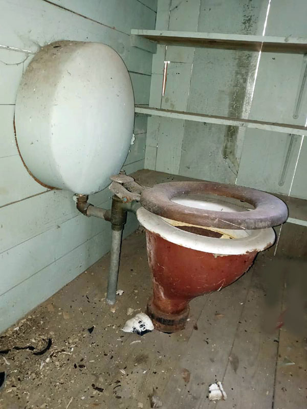 toilet-1910-autoflush-02.jpg