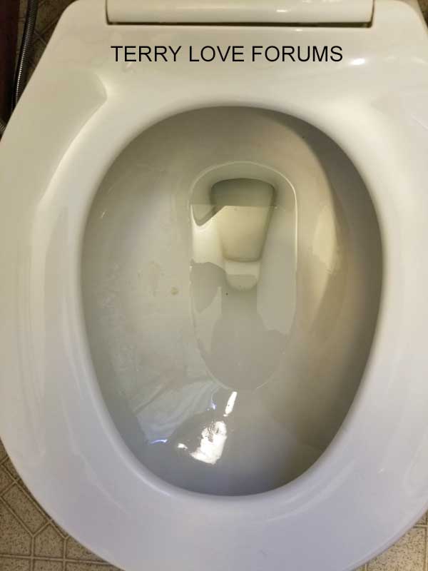 Toilet Bowl Level Low 01 