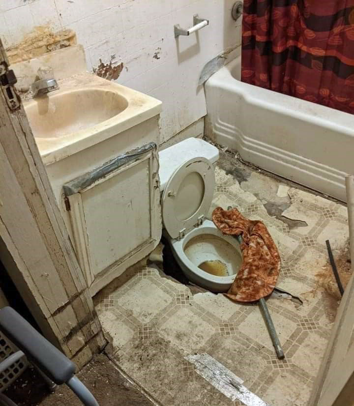 toilet-falling-through.jpg