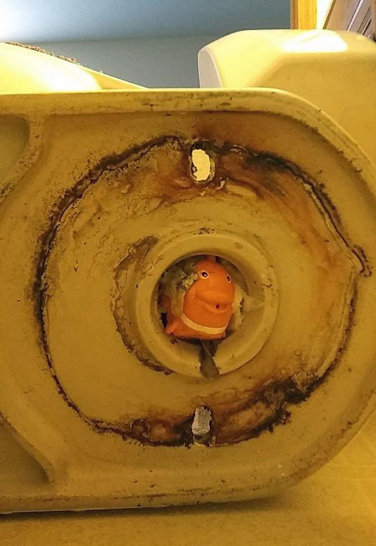 toilet-nemo.jpg