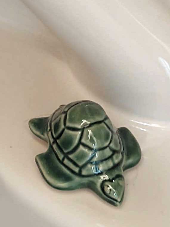 toilet-turtle-03.jpg