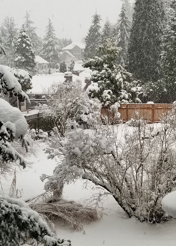 snow-day-2019-10.jpg