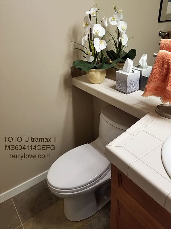 Toilet tank bolts leaking??  Terry Love Plumbing Advice & Remodel