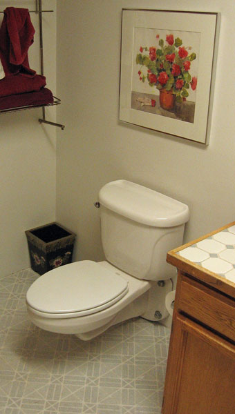 American Standard Glenwall wall mount toilet and Yorkville ...